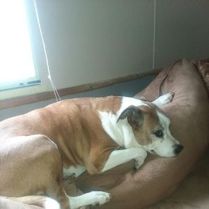 Meet your Posher, Sue